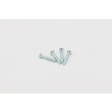 Wackel Schrauben (4Stück) im Pack